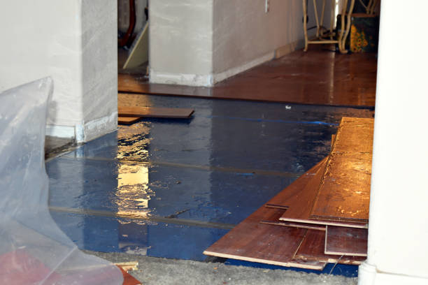 Professional Flood Cleanup technician working in Bretz, WV